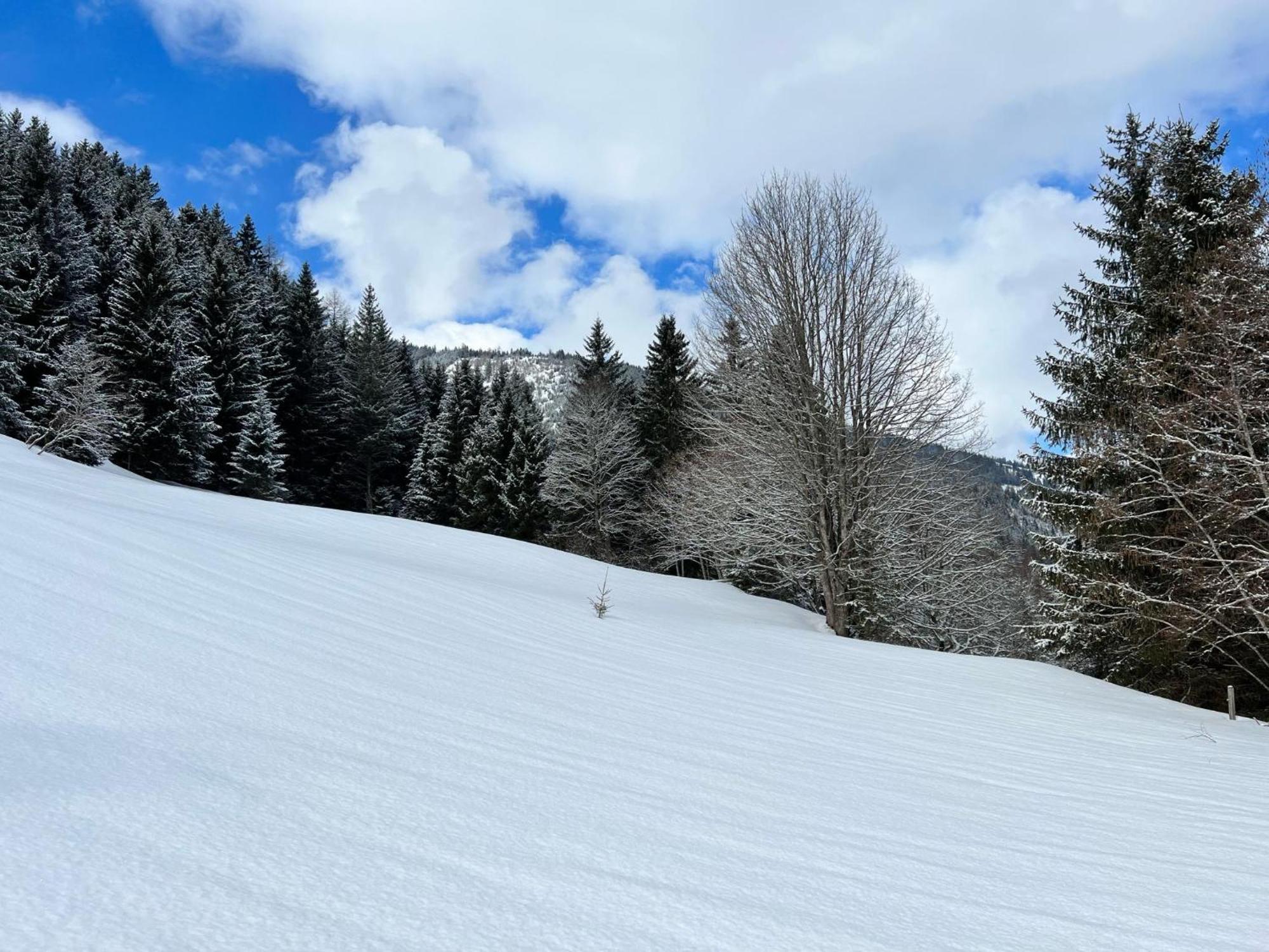 Haus Bente Βίλα Donnersbachwald Εξωτερικό φωτογραφία