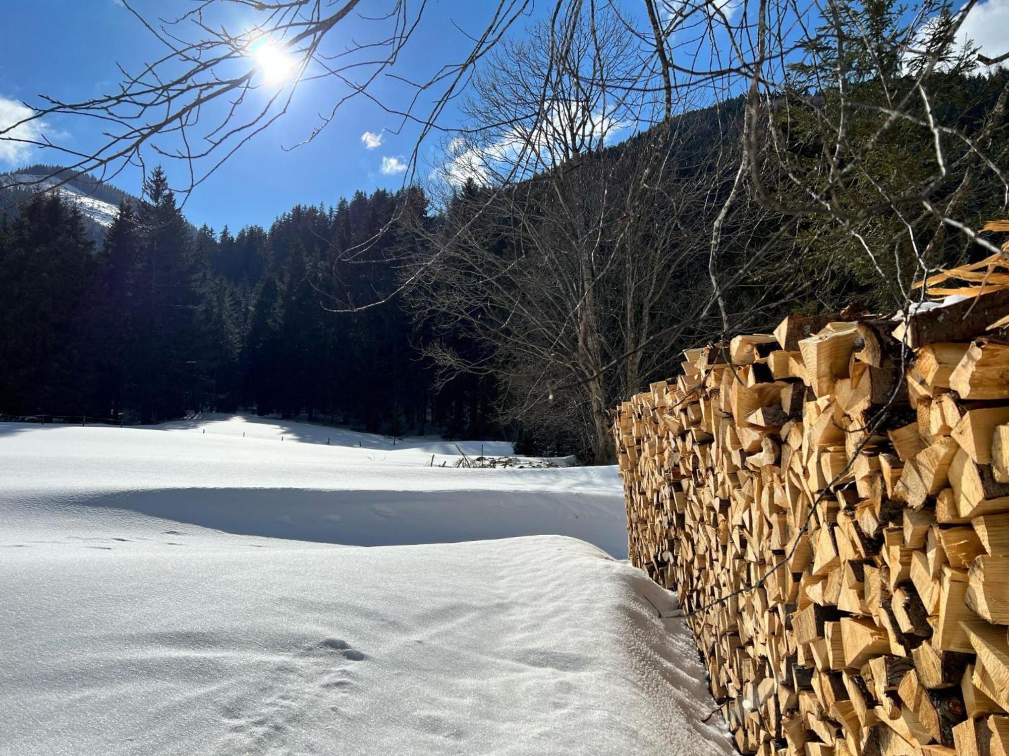 Haus Bente Βίλα Donnersbachwald Εξωτερικό φωτογραφία